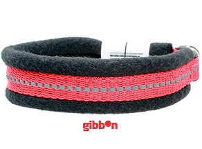 halsband till valp